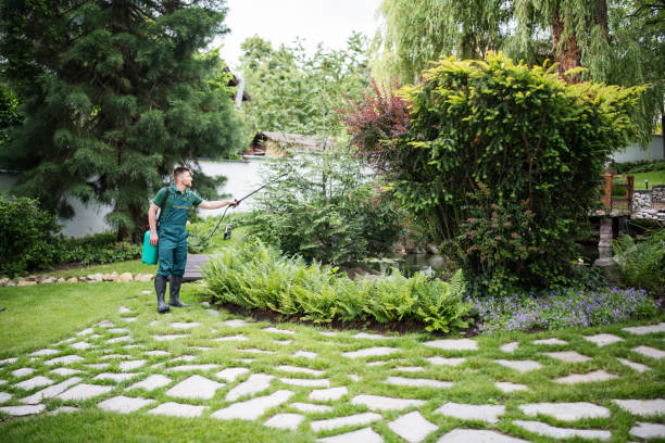 Best Local Pest Control Services  in Baraboo, WI