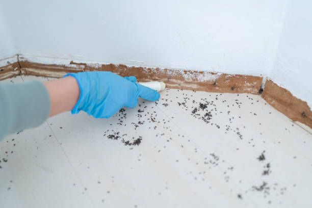 Best Mosquito Control Services  in Baraboo, WI